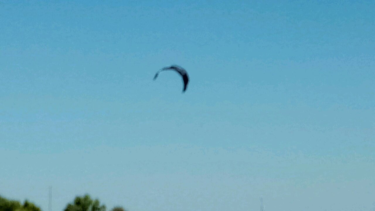 Eagle flying and a wind surfer