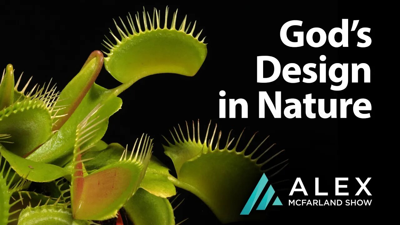 God's Design in Nature: AMS Webcast 508