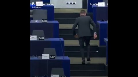 Yesterday in the EU parliament a member made the Nazi salute
