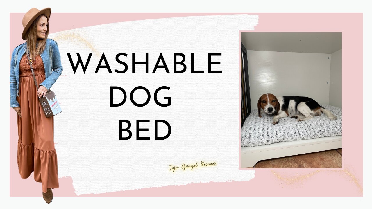 Washable dog bed review