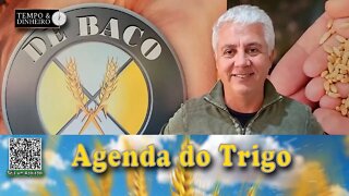 Os preços históricos, das commodities... e a demanda?