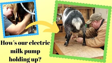 Electric Milk Pump Update