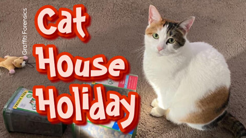 Cat House Holiday