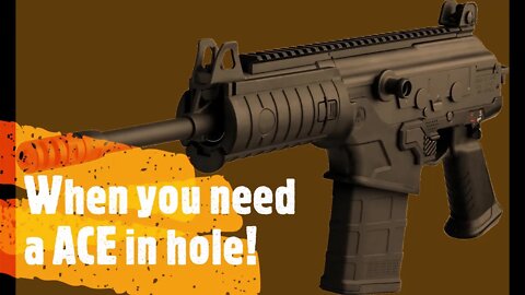 IWI Ace Pistol in 7.62x51 yes .308 pistol power!