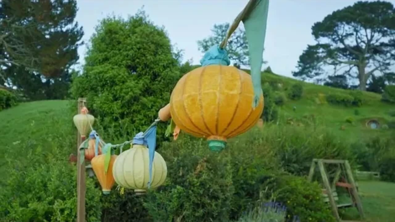 Slow down and feel the beauty of the world 11