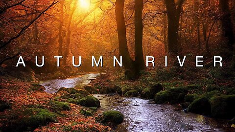 Autumn River | Water Flowing, Lapping | Relaxing Fall Nature Ambience | For 3 Hours