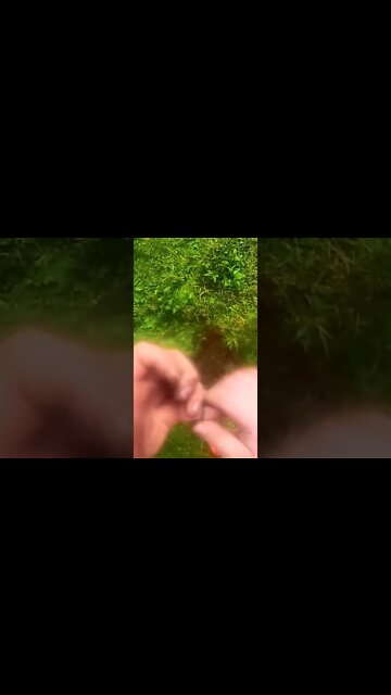 Metal Detecting Park Ring Found #shorts