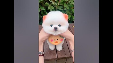 so cute