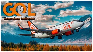 A História da Gol Linhas Aéreas - ler e empreender