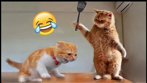 Funny animal videos 2023 😂