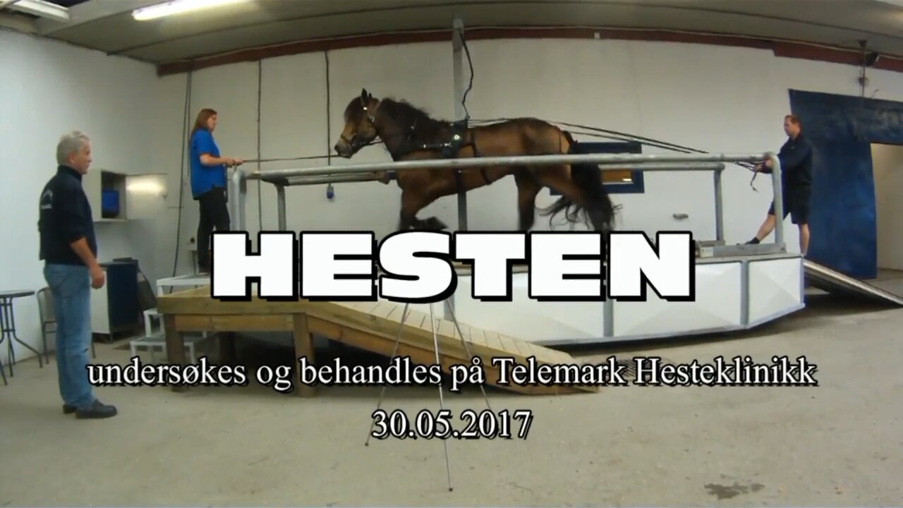 Hesten Telemark Hesteklinikk 30 mai 2017