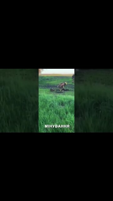 Breaking News (War-Related). **Warning** **Graphic Content** Viewer Discretion Advised 18+ #shorts