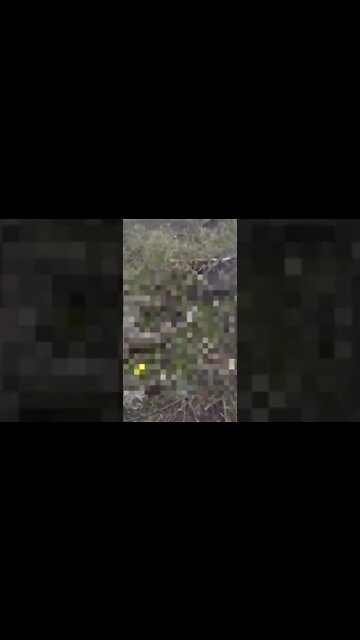 Breaking News (War-Related) #shorts