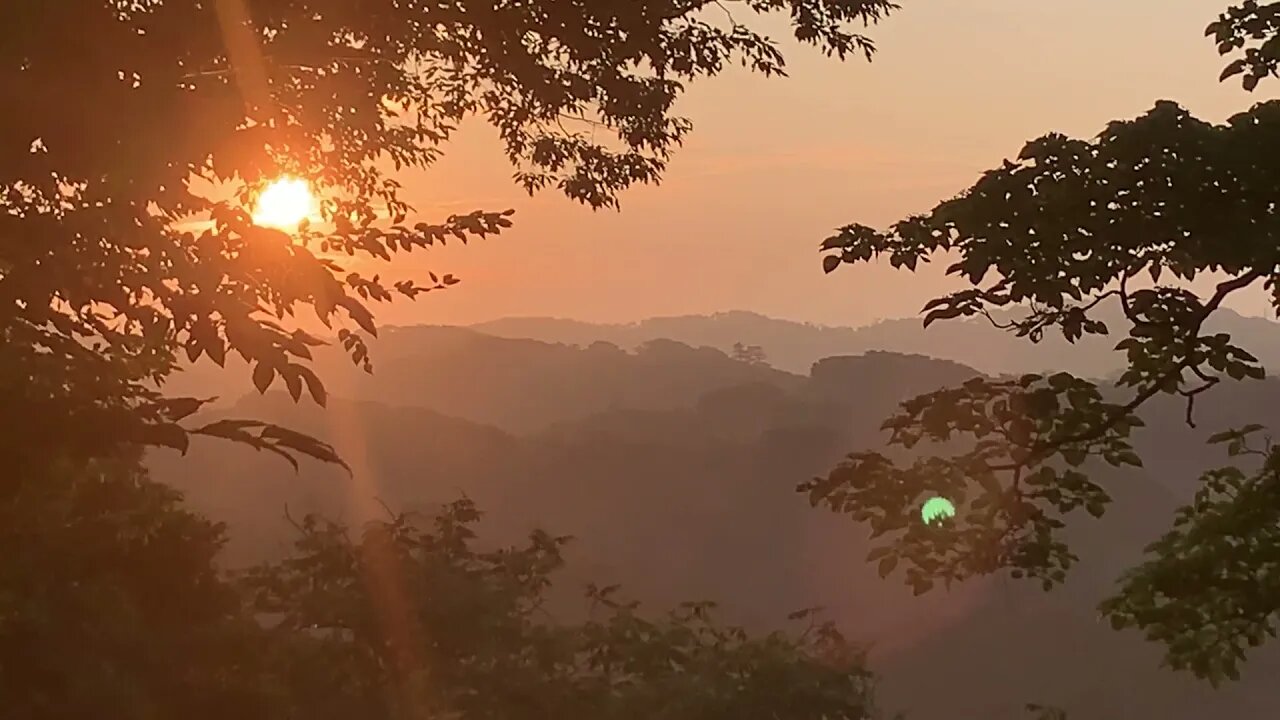 The sounds, Flora & Fauna of Genjiyama Koen (Park), Kita-Kamakura