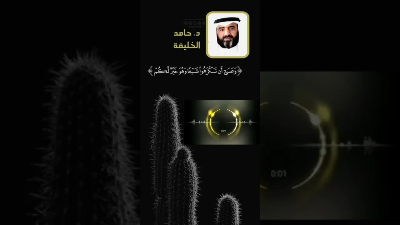 وعسى ان تكرهوا شيئا وهو خير لكم ..