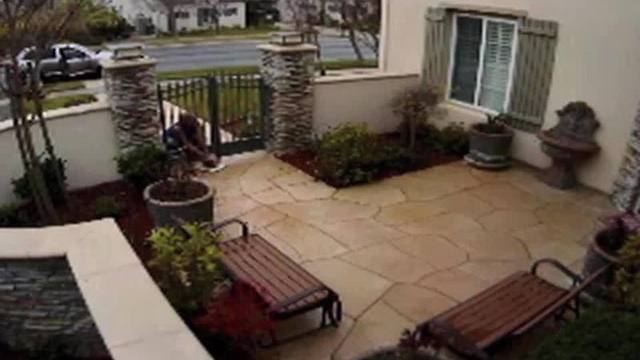 PORCH PIRATES