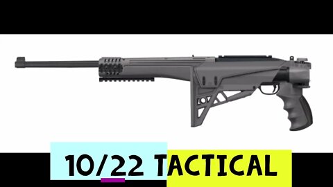 Riger 10/22 Tactical fun rimfire!!!
