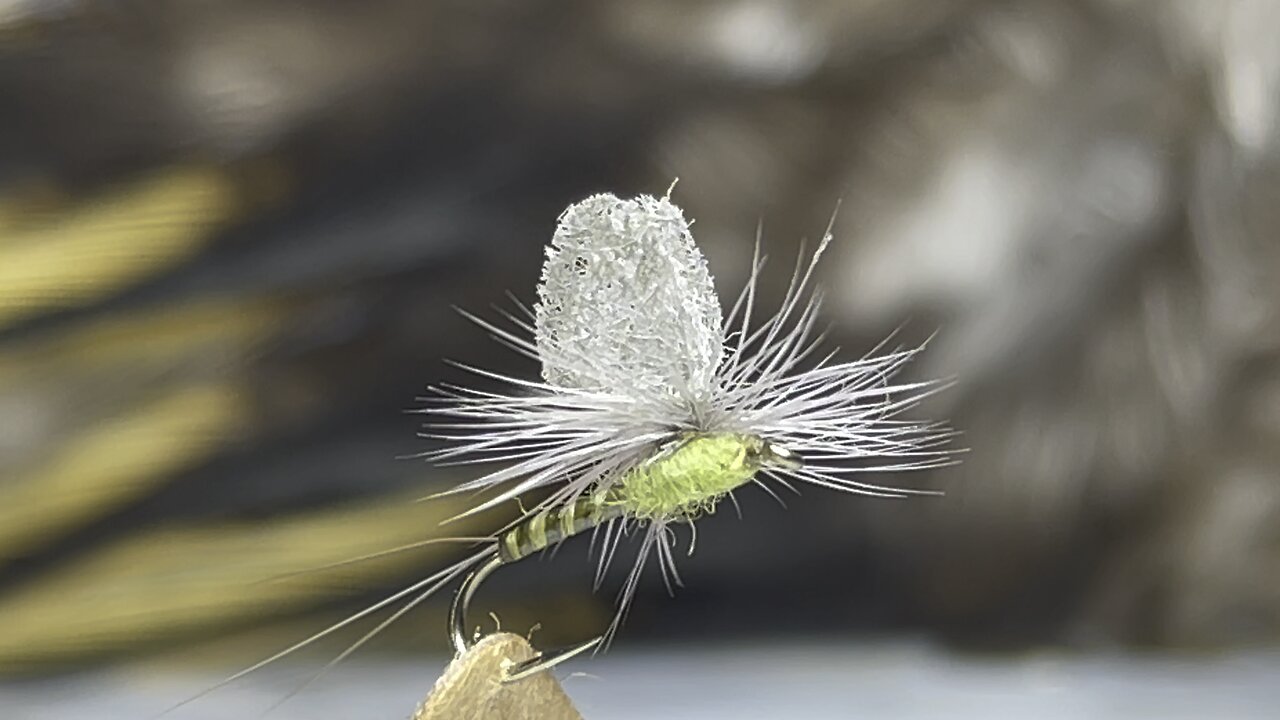 Fresh off the Vise!