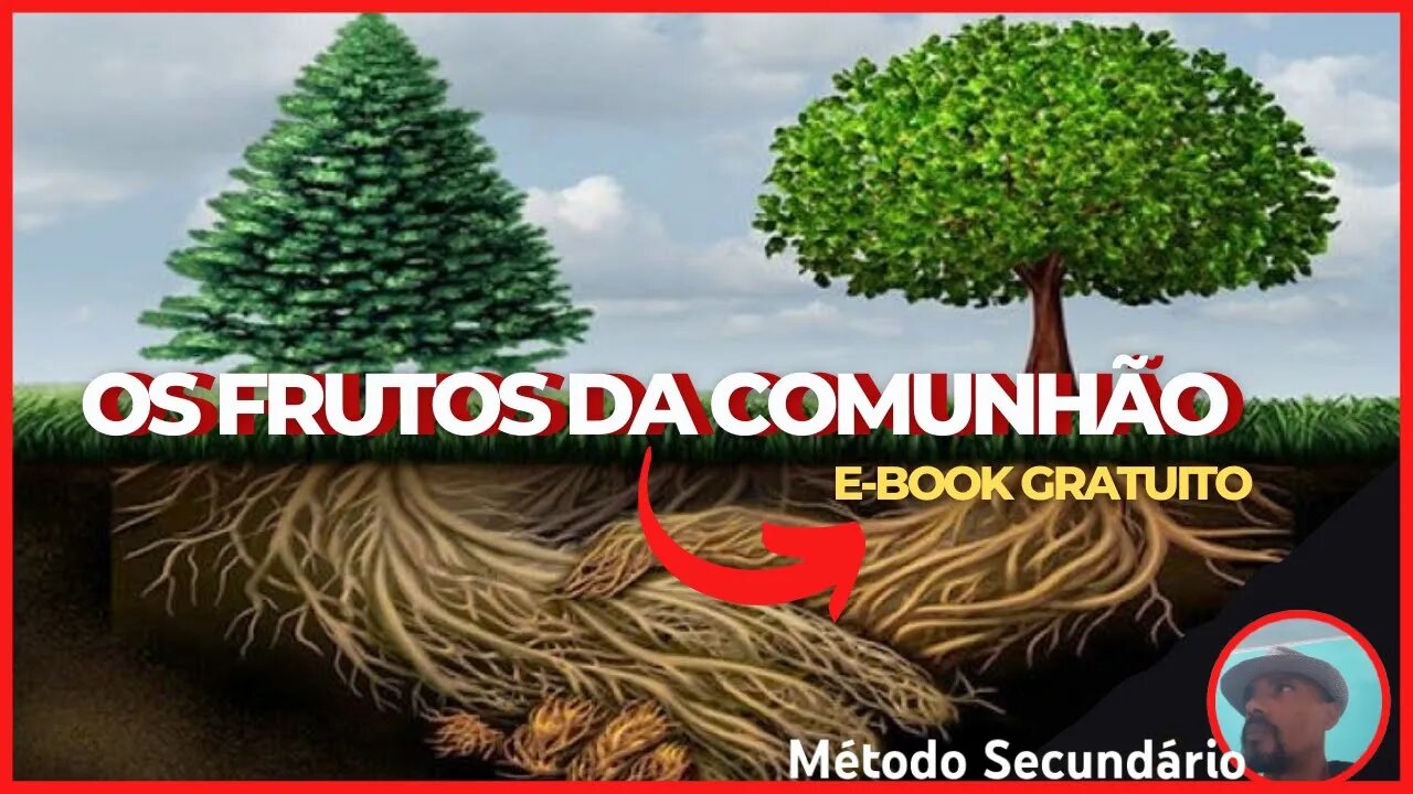 OS FRUTOS DA COMUNHÃO