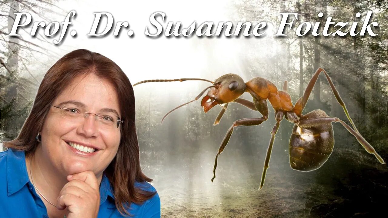 Sklavenhalter Ameise - Prof. Dr. Susanne Foitzik