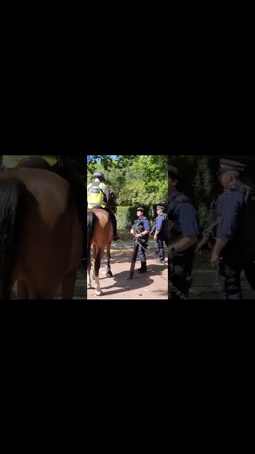 Armed police outside clarence house #london