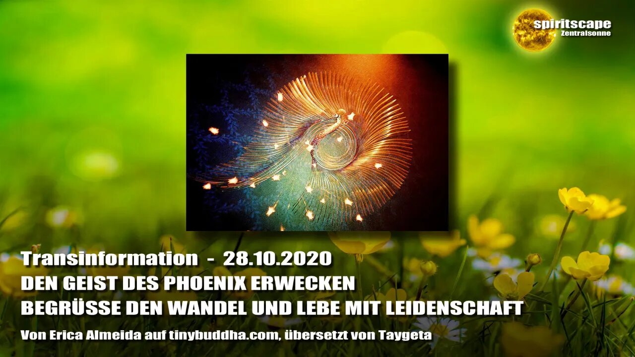 DEN GEIST DES PHOENIX ERWECKEN – BEGRÜSSE DEN WANDEL UND LEBE MIT LEIDENSCHAFT - Transinformation