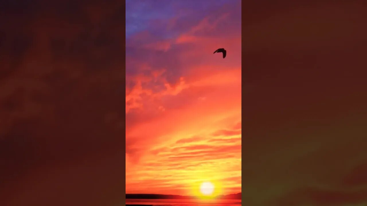 Beautiful Sunrise, Flying Birds