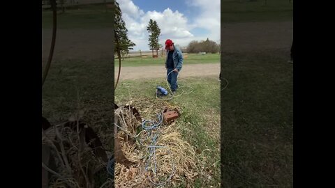 Don’t try this at home #shorts