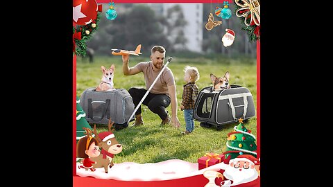 Petsfit Pet Carrier with Removable Wheels for Cats, Dogs up to 30 Pound, Cat Soft-Sided Carrier...