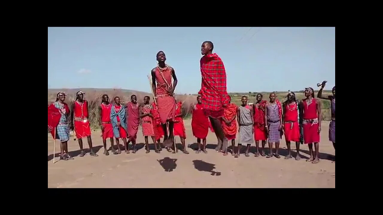 The Maasai warriors are having a jumping contest!