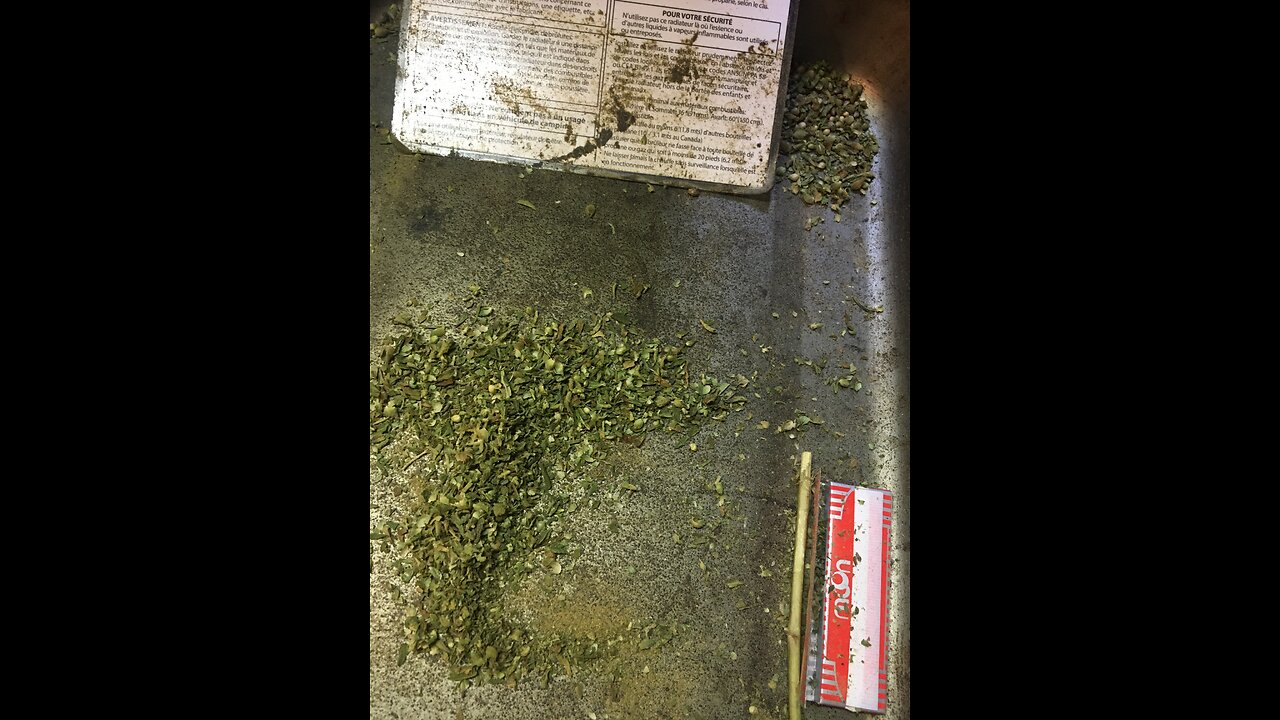 Derek Hunter Show tik tok ban