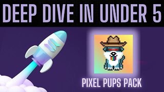 Solana NFTs | Deep Dive in Under 5: Pixel Pups Pack