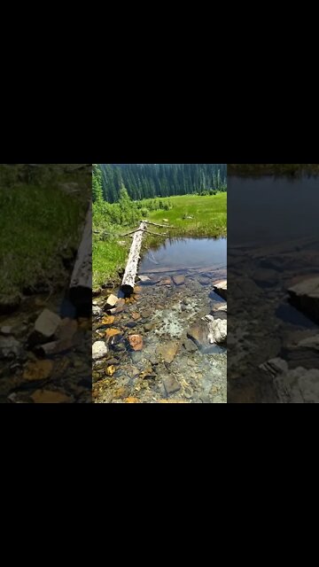 Big Therauilt Lake hike-!-