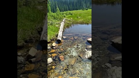 Big Therauilt Lake hike-!-