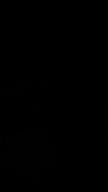 Corrupt president, Joe Biden