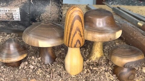 Wood Turning Mushrooms