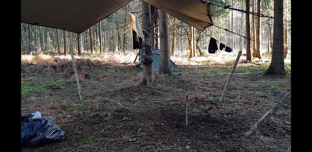 Preparing to dig a firepit in a woodland 20th Jan 2023