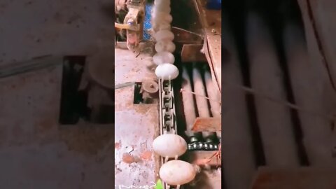 #shorts #2022 funny,prank,funjokes,dad jokes,funny memes,funny video,fun,laughing,funny animal,knock