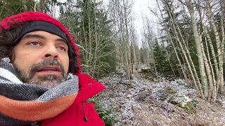 Na Neve e no Campo - Observações de uma Finlândia Rural