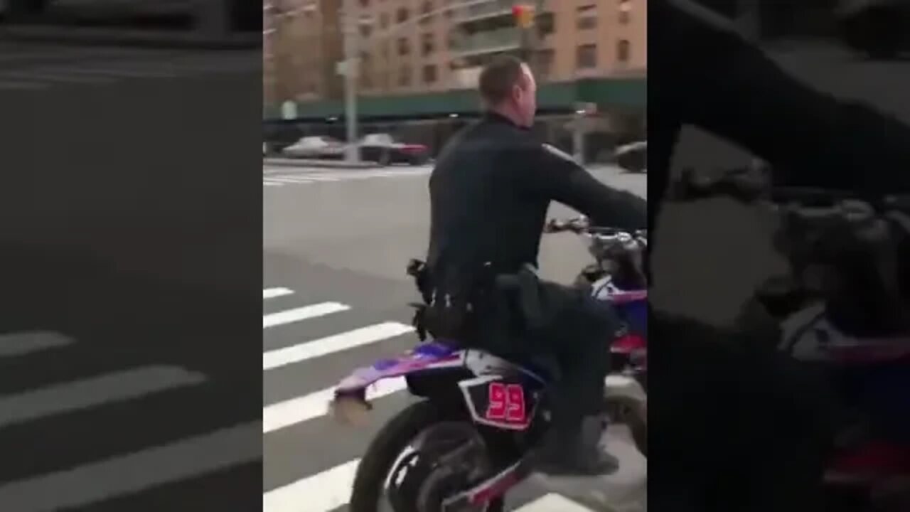 Funny Police Fails Video Karma Edition #shorts