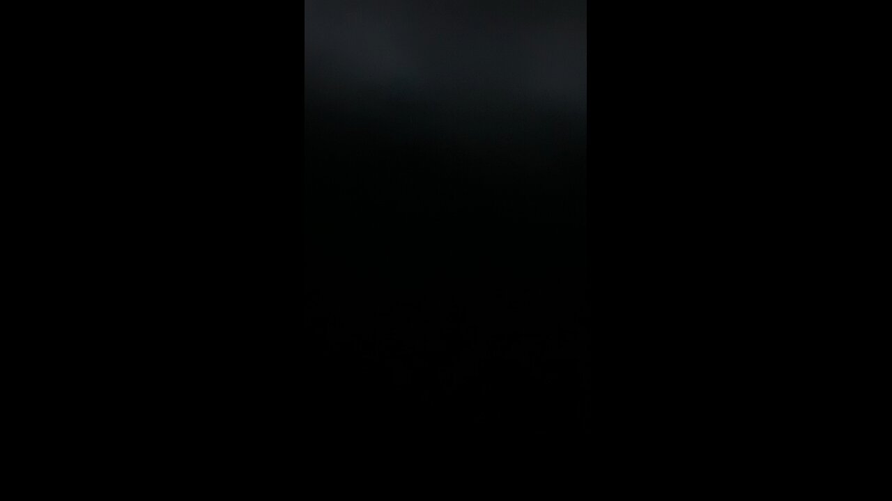 What the government says