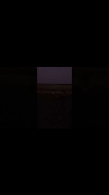 Freedom Seeds in Darkness #shorts