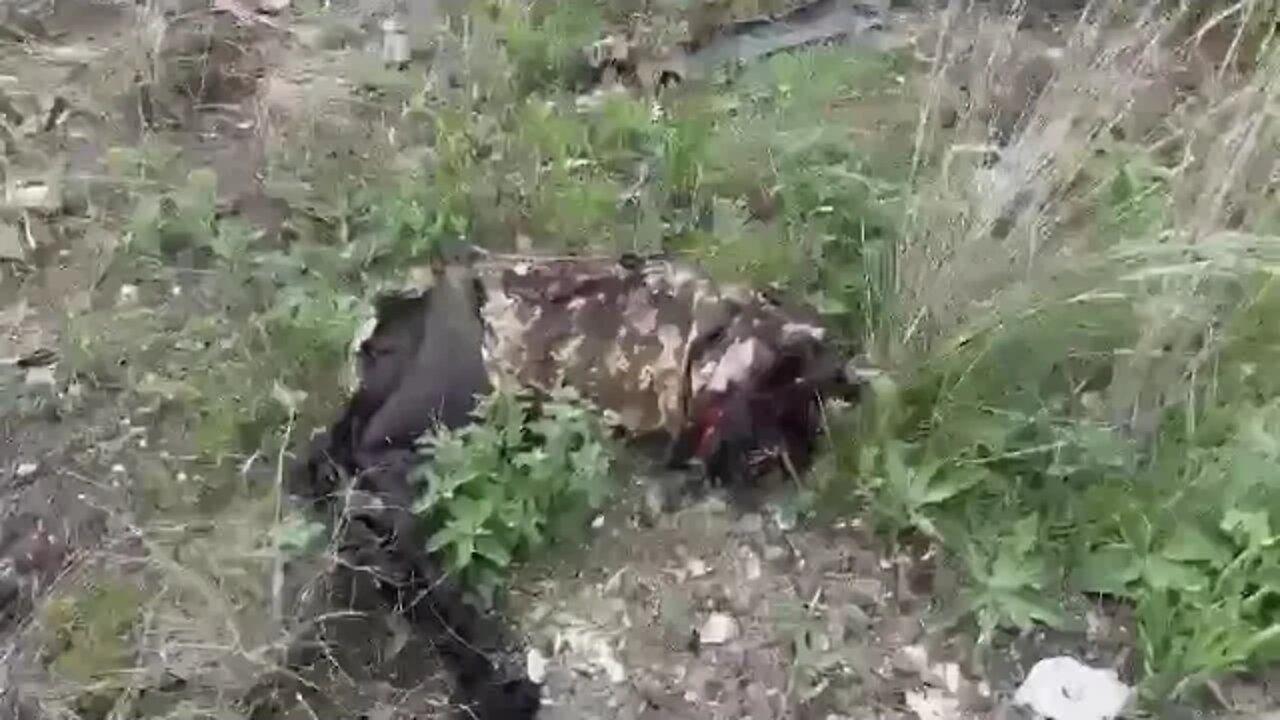 Destroyed Ukrops After Their Encounter With A Russian Tank