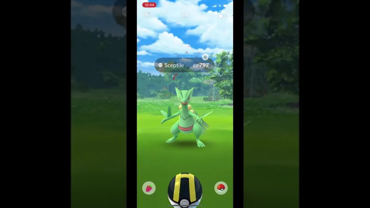 Pokémon Go - Catching Sceptile In The WILD (Final Evolution Of Treecko)