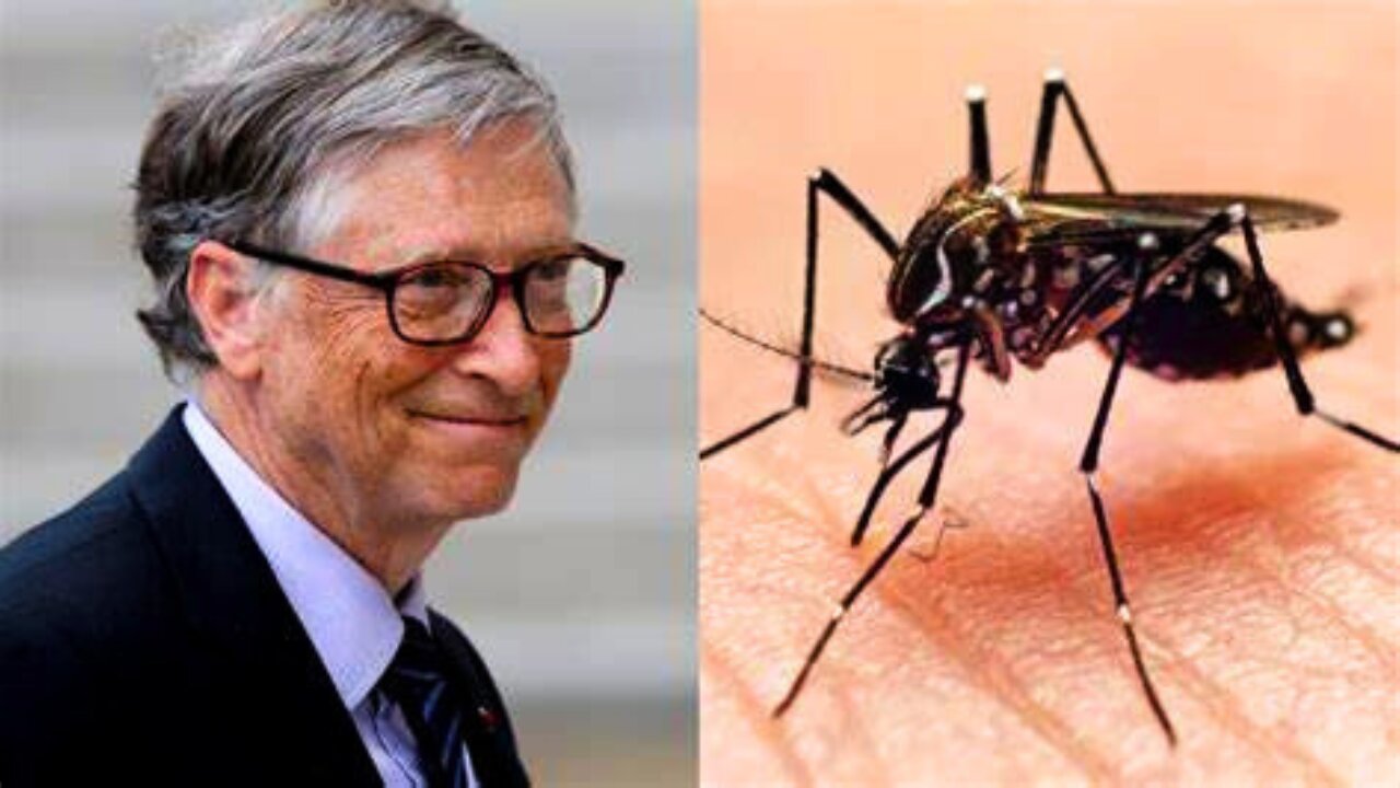 Bill Gates Did NOT Cause Recent Malaria Outbreak