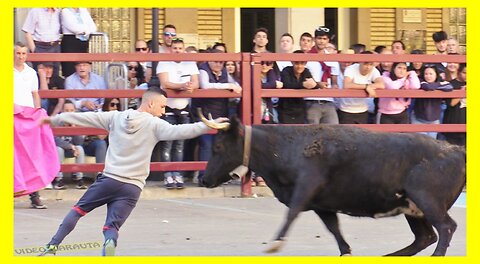 TAUSTE ( ZARAGOZA ) TARDE VACAS PLAZA Y CALLE ( DOMINGO 7 MAYO 2023 ) GANAD.VIRGEN DE SANCHO ABARCA