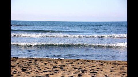 Les bagues d'une plage