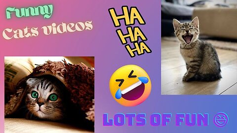 1 Hour Trending Funny Dogs And Cats Videos 😂 Funniest Cats And Dogs 🐶😂