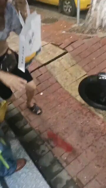 Trees uprooted during typhoon in China