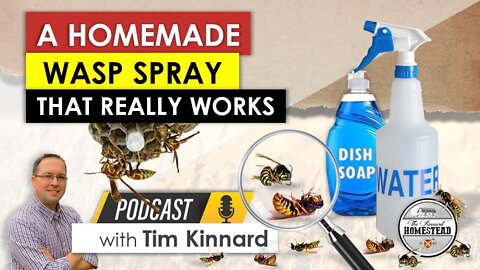 A Homemade Wasp Spray that Really Works [DIY Wasp Killer]